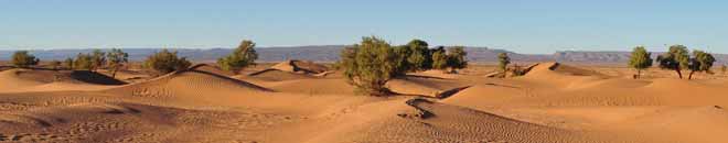 Baner2 - Wyprawa konna w Maroku, na Saharze