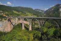 Wycieczka Czarnogóra - Most na rzece Tarze