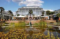 Berlin - Ogród Botaniczny