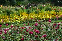 Ogród Różany w Forst