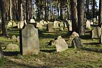Kruszyniany, cmentarz tatarski